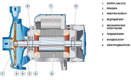 Proiectarea pompei centrifuge