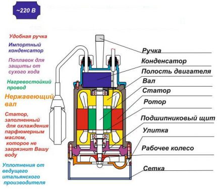 Gnome Pump Design