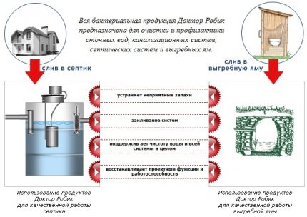 Domeniul de aplicare al mărcii Dr. Robik