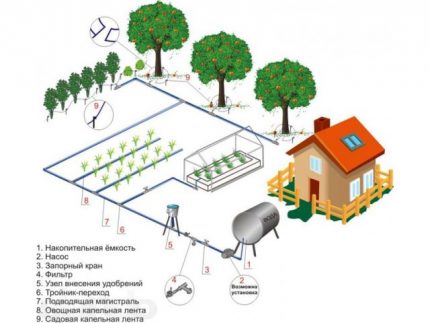 Schema de irigare prin picurare