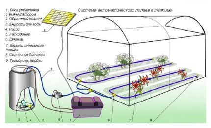 Schema de irigare cu efect de seră