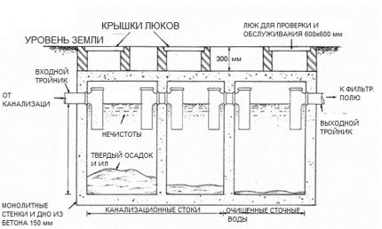 Planul de curățare a reîncărcării cu ceai