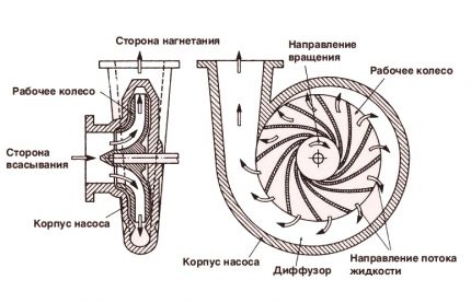 Schema pompei de fântână