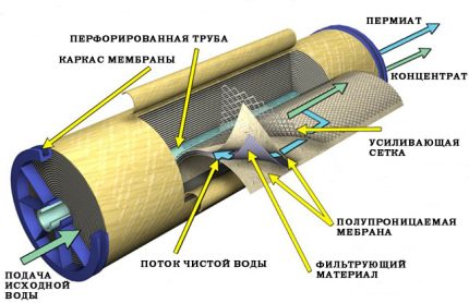 membrană