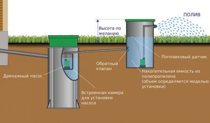 Utilizarea apei purificate la irigare