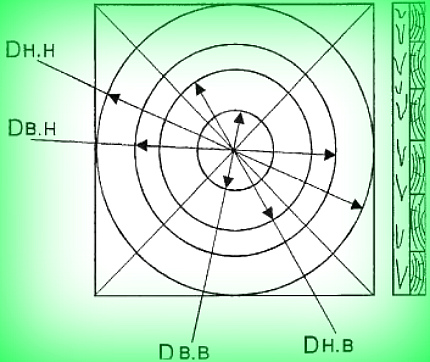 Aspect formular