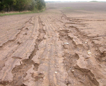 Terra afetada pela erosão hídrica