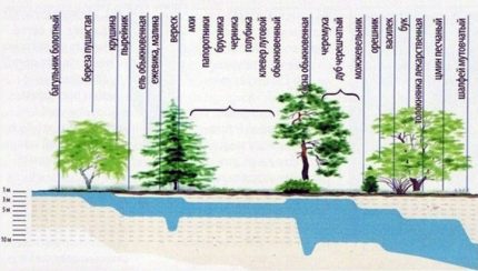 Determinarea adâncimii apelor subterane