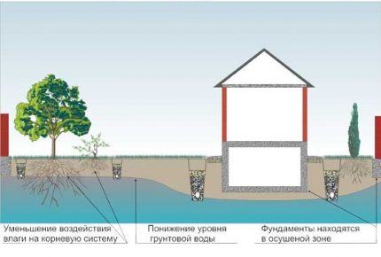 Dræningssystemdiagram