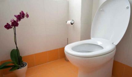 Scaun WC Duroplast