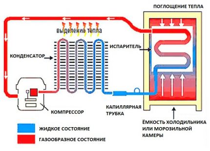 Schema frigiderului compresorului