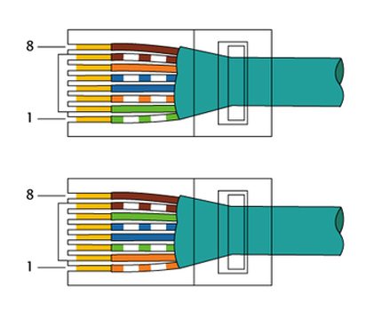 Standard Culoare Core Conector