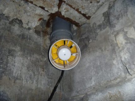 Ventilator de bază