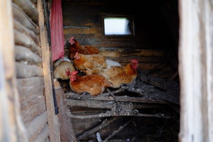 Ventilație naturală