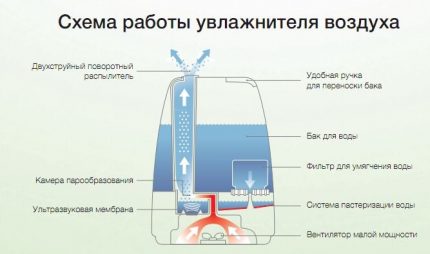 Principiul funcționării umidificatorului cu ultrasunete